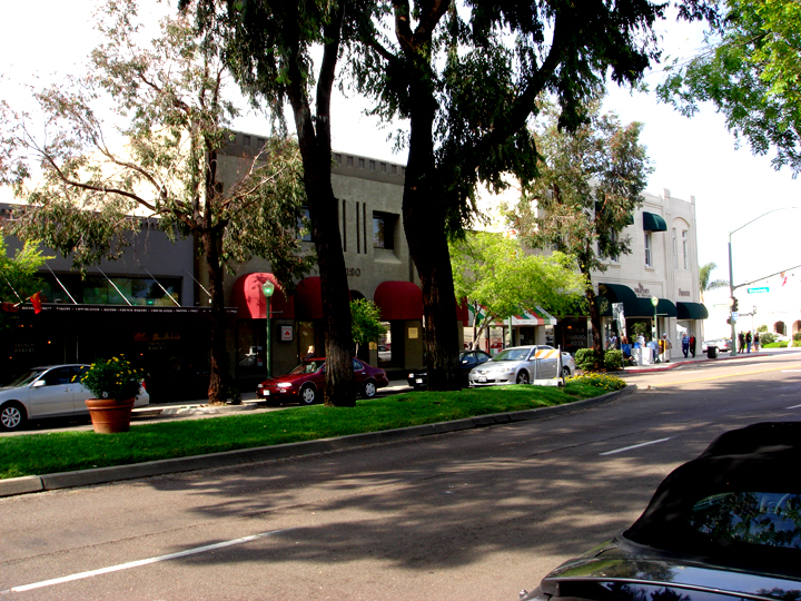 Tea party in Escondido CA